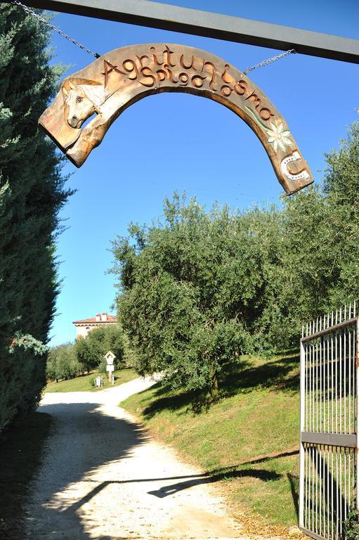 Agriturismo Spigolo Avesa ภายนอก รูปภาพ